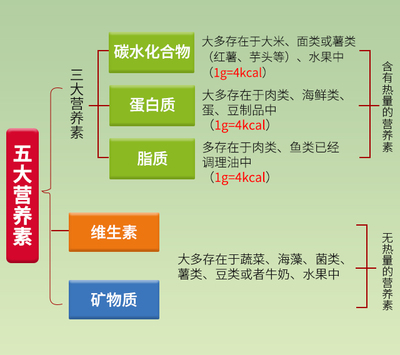 腦梗患者飲食指南 豆類與薯類的科學補充