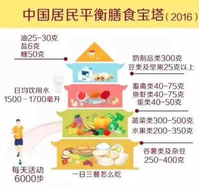 營養均衡助力成長 一份專為兒童設計的豆類與薯類食譜