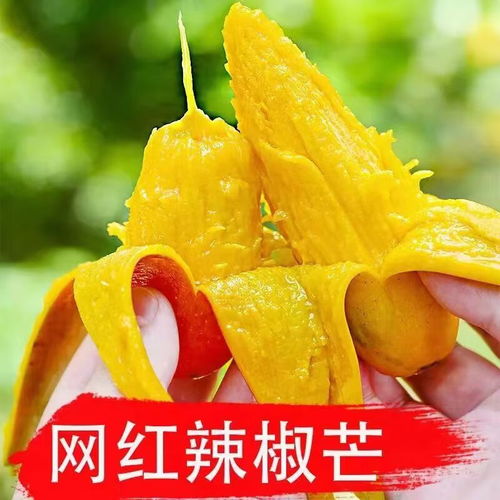 菀棫農業芒果報價及優質品種推薦 2025年價格與選購指南